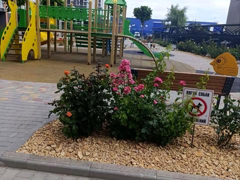 квартира за адресою Академіка Вільямса вул., 89/1