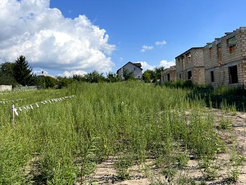 участок по адресу Кринична