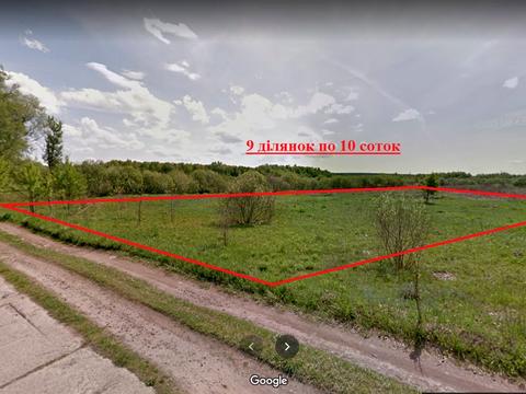 ділянка за адресою с. Пухівка, Рожівська
