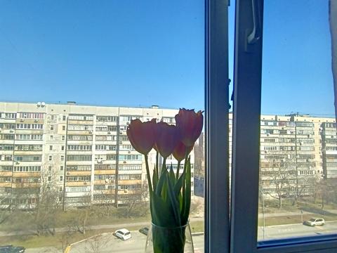 квартира по адресу Грушевського, 17/1