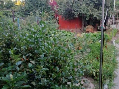 дом по адресу Ярославская ул.
