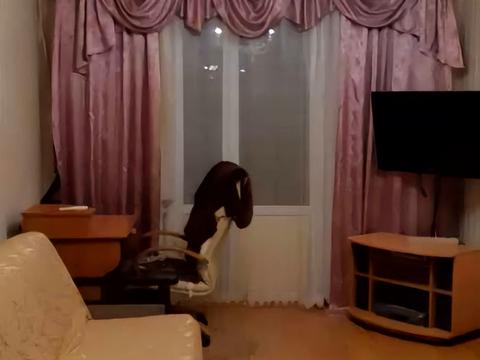 квартира по адресу Юрія Литвинського ул. (Російська), 58