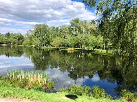 квартира за адресою Воскресенська вул., 14-Е