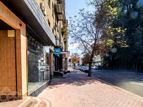 комерційна за адресою Ярослава Мудрого вул. (Петровського), 37
