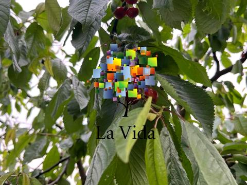 будинок за адресою Полунична, 34