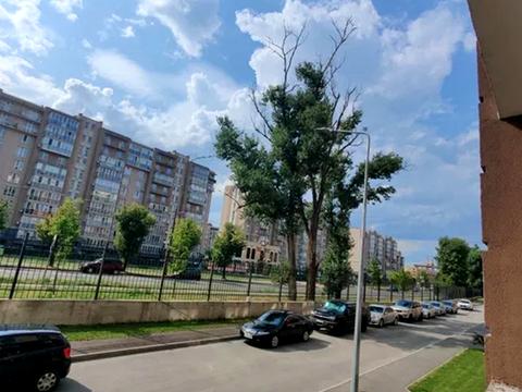 квартира по адресу Метрологическая ул., 29