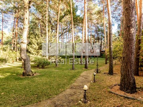 дом по адресу Абрикосовая ул.