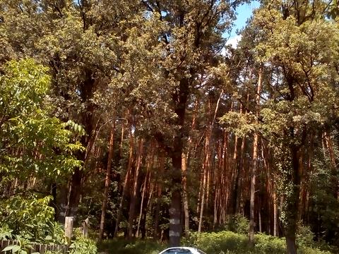 будинок за адресою Київ, Палладина проспект