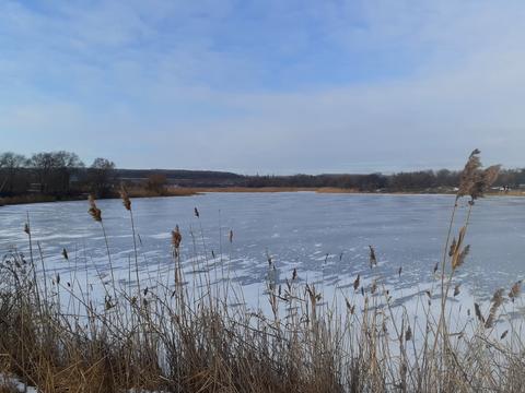 ділянка за адресою Вільне
