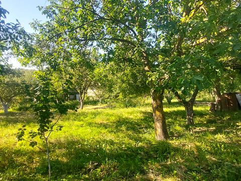 ділянка за адресою 