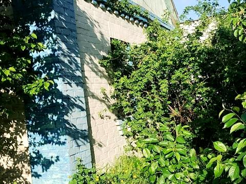 ділянка за адресою Дружби вул.