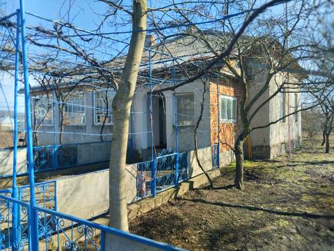 дом по адресу Шкільна