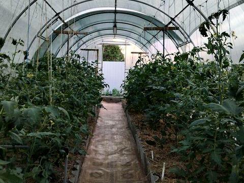 будинок за адресою Центральна вул. (Чапаєва)
