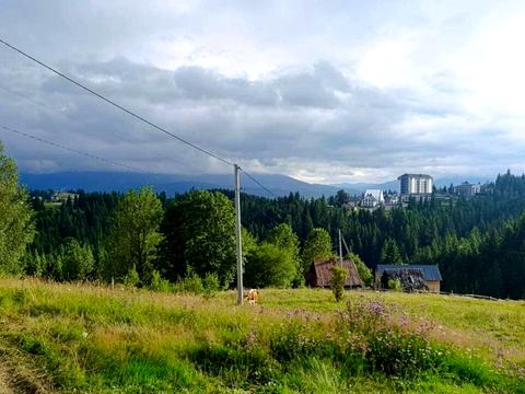 участок по адресу с. Яблоница, Горішків