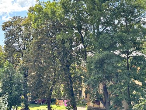 квартира по адресу Рене Декарта ул. (Кулібіна), 5