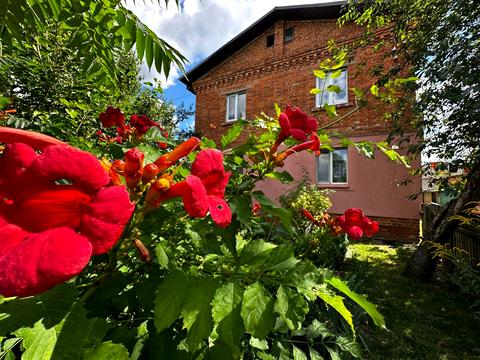 квартира по адресу центр, 2