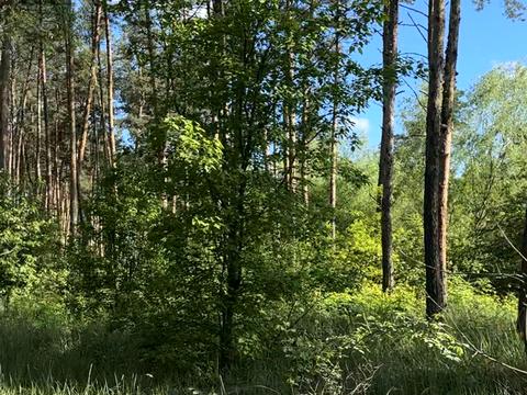 участок по адресу Польова, 3