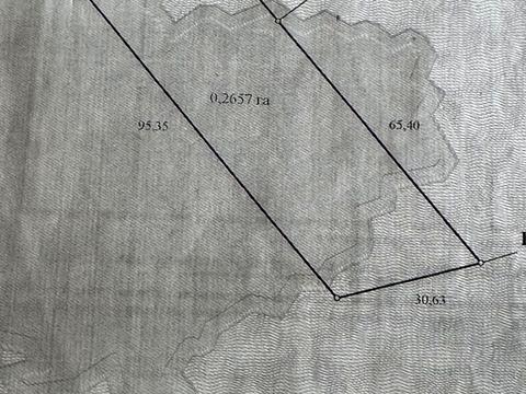 участок по адресу Мічуріна