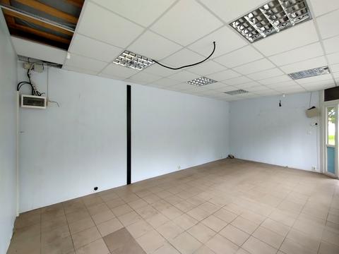 коммерческая по адресу Благовіщенська, 253