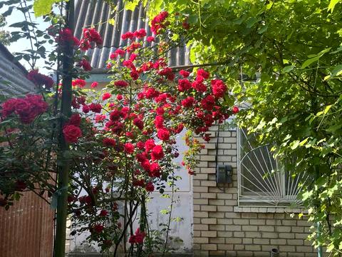 дом по адресу Центральна