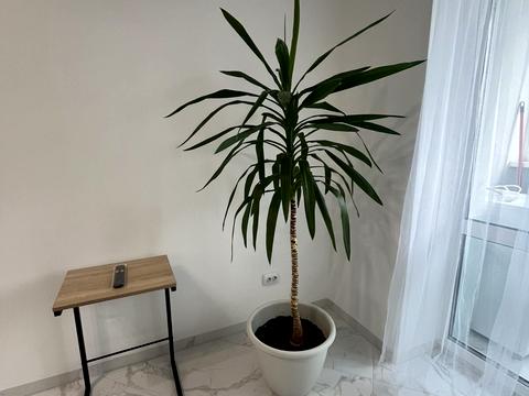 квартира за адресою Галицька вул., 132
