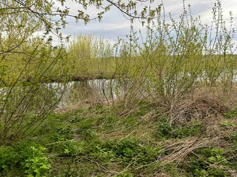будинок за адресою с. Кобилянка, Речная
