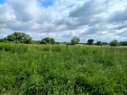 участок по адресу Зелений Хутір, 24