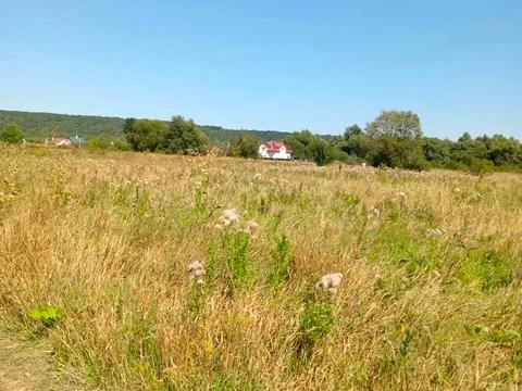 ділянка за адресою с. Клузів, 