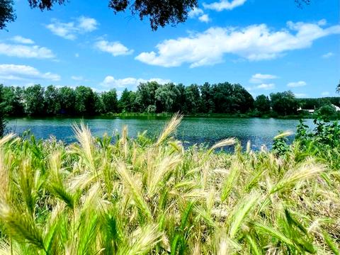 будинок за адресою Каштанова вул. (Тракторна)