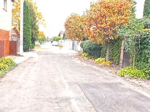 будинок за адресою с. Петропавлівська борщагівка, Польова вул., 61