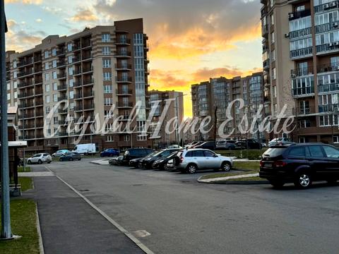 квартира за адресою Метрологічна вул., 25-А