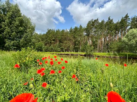 ділянка за адресою 