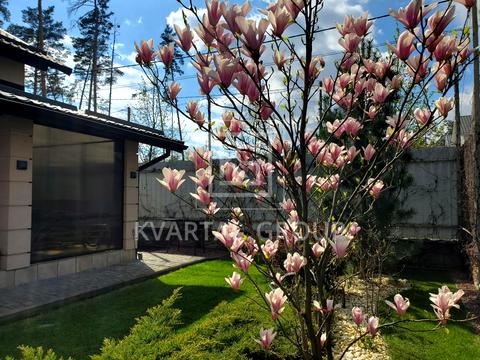 будинок за адресою Шевченка вул., 4