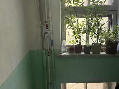 квартира по адресу Варненская ул., 17/2