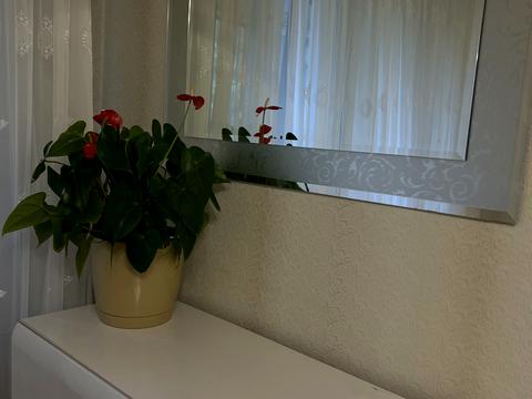 квартира по адресу Зодчих ул., 18-А