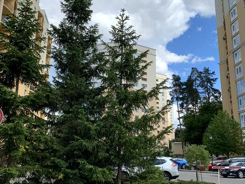 квартира по адресу Валерия Лобановского ул., 11