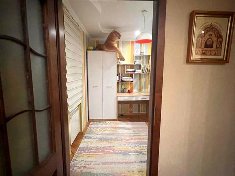 квартира по адресу Данилишиних ул., 47
