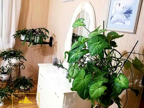квартира по адресу Юрия Кондратюка ул. (Ревенка), 11