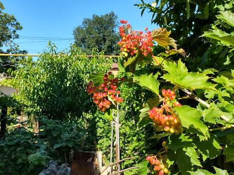 будинок за адресою Академіка Гаркавого вул. (Житомирська)