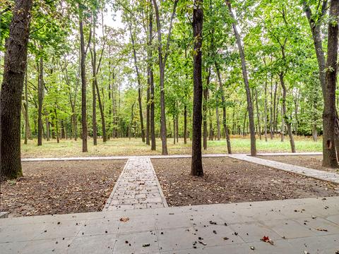 будинок за адресою Лісова