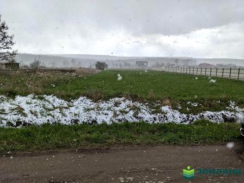 ділянка за адресою Польова