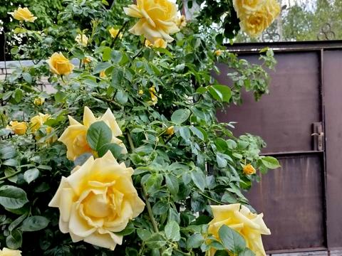 будинок за адресою Євпаторійська вул.