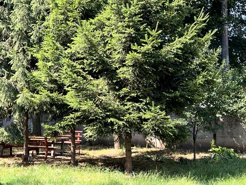 комерційна за адресою Левка лукяненка, 14Г