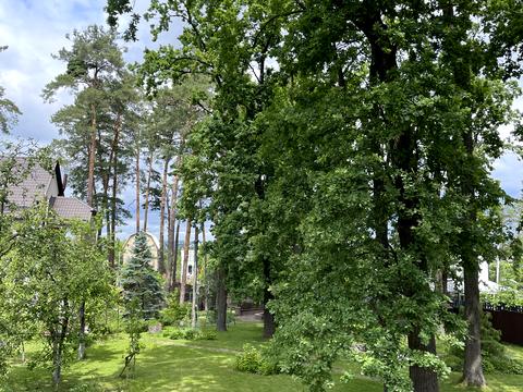 будинок за адресою Академіка Ромоданова вул. (Льва Толстого)