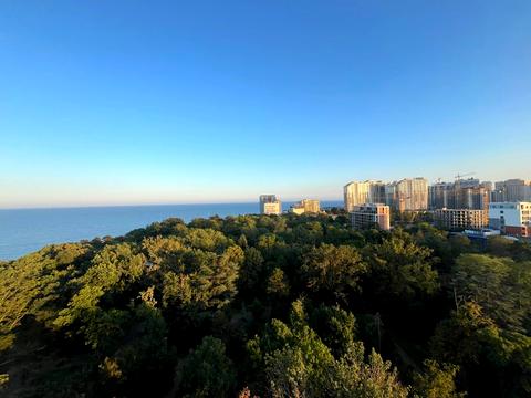 квартира по адресу Французский бульв., 85/5