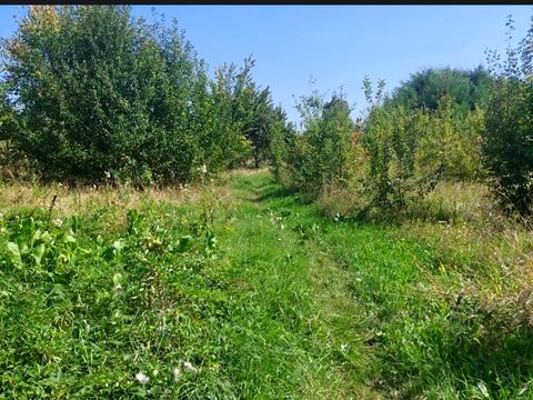 ділянка за адресою Паркова