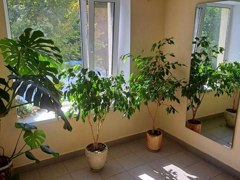 квартира по адресу Ярослава Мудрого ул., 60/1