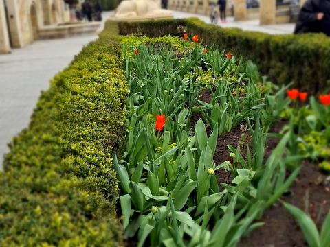 квартира за адресою Крайня вул., 22