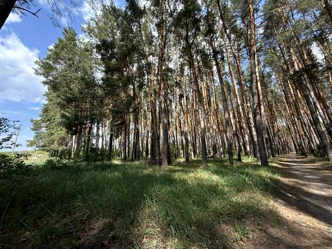 участок по адресу Слободская ул., 15