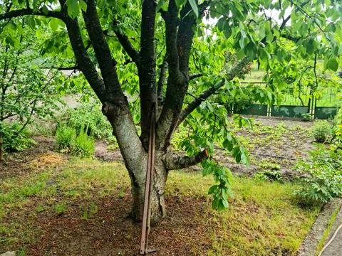 дом по адресу Уютная